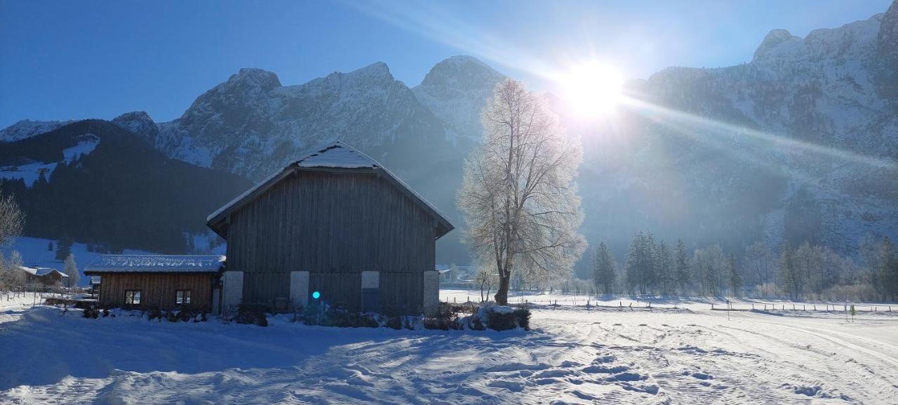 Landhaus Algerhof Abtenau Exteriör bild